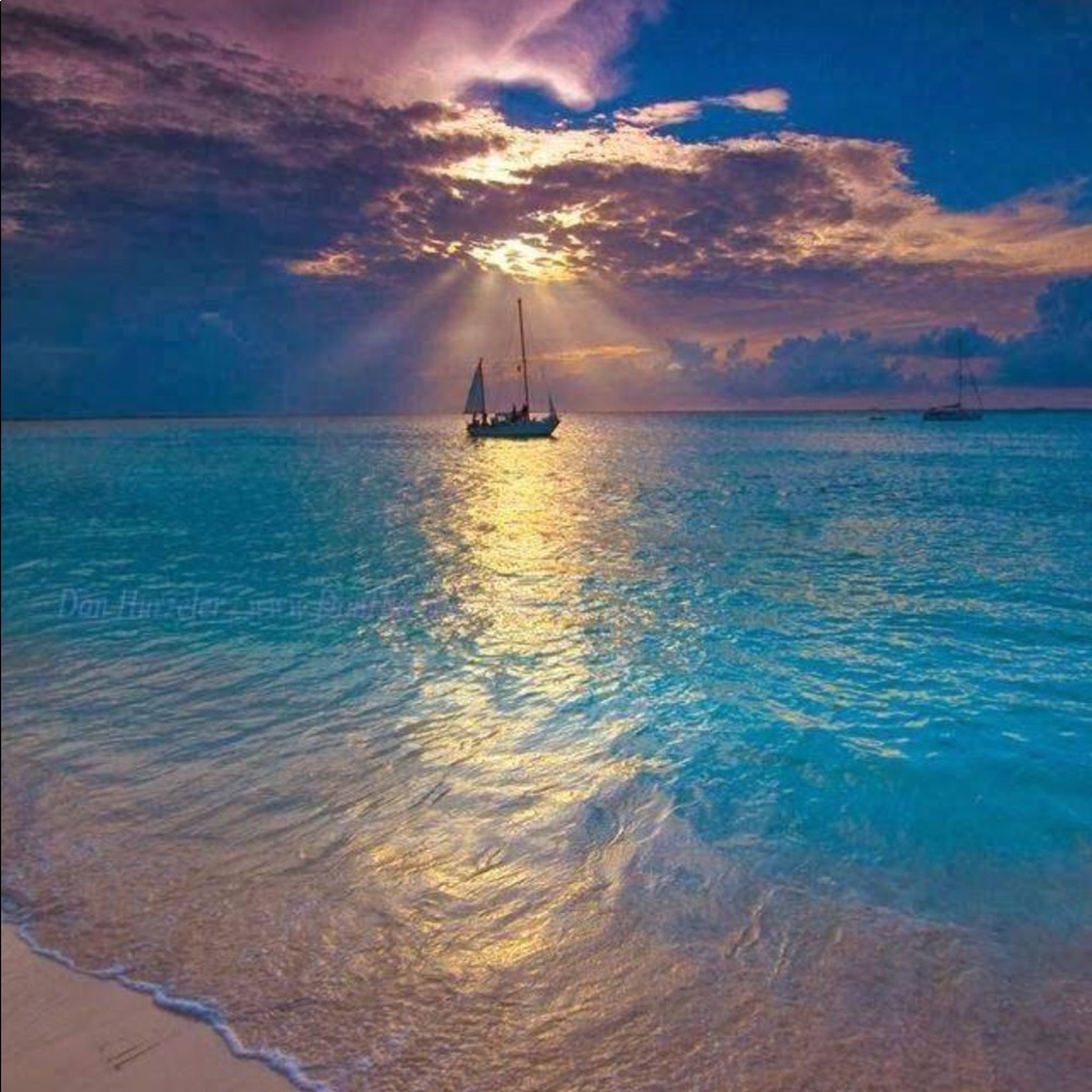 Meet your Posher, Mitea